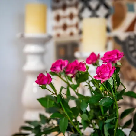 To Myrmigki Appartement Skopelos